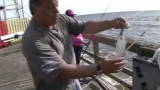 Fishing at the Casino Fishing Pier