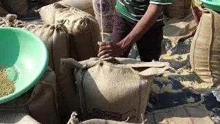Manually Sewing Rice Bag