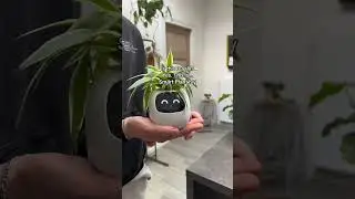 Smart Planter Endless Fun Over 49 Rich Expressions 7 Smart Sensors And AI Chips. Link in bio