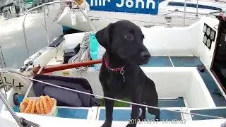 Sailing Serenity - Exterior Tour - Westerly Griffon