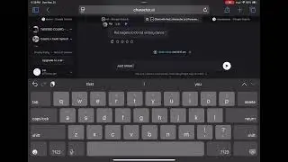 Talking to a rat on c.ai