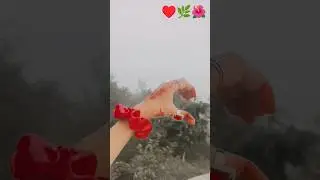 hand #dance #bollywood #song #youtubeshorts #love short video 🥰💗🌺🥰🌿&hearts;️🦋☘️🌷