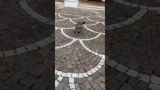 Guarda chi c&rsquo;&egrave; !!!