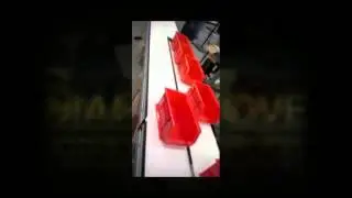 Pharmacy Line Conveyor