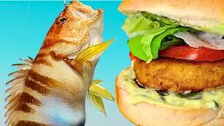 Kayak Fishing CATCH and COOK Filet-O-Fish BURGER!