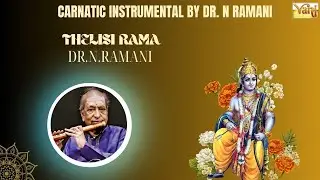 Thelisi Rama - Flute Version 🎶 | Thyagaraja Carnatic Classical Music | Dr. N. Ramani | Instrumental