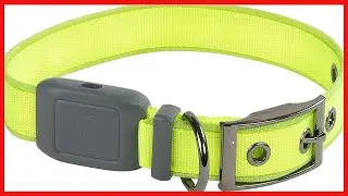 Nite Ize NiteDog Rechargeable LED Collar, USB Rechargeable Light Up Dog Collar w/Metal Buckle, Water