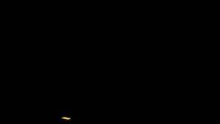 Turtlehead33's Intro Video!
