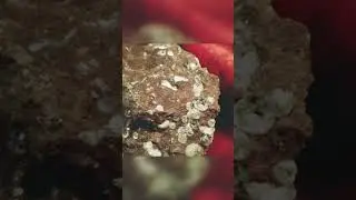 kimberlite rough diamond
