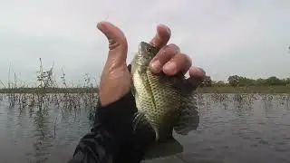 MANCING DISAAT MUSIM BADAI, DI SPOT INI AMAN DARI BADAI.. SPOT WGM GALOMBO #fishing #mancing #fish