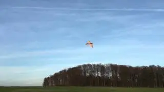 Gernot Bruckmann Yak 55 3D Kunstflug
