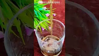 गुड़ का शरबत - Gud ka Sharbat Summer Drink Recipe #shorts - #reenukirecipes