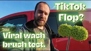 Testing the Viral TikTok Telescopic Car Wash Brush