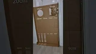 Cat Tries the Cardboard Challenge &mdash; Can She Escape the Maze? 😹