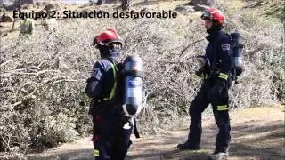 Experimento de exposición a humos en incendios forestales