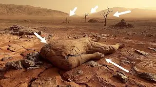 NASA&rsquo;s Latest Mars Images Exposed - NASA's Newly Released Images Of Red planet - Mars Saga #24 