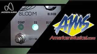 Jackson Audio Bloom - American Musical Supply
