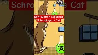 #DarkMatterTV Schrodinger's Cat Explained