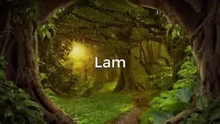 meditation music for relax mind body