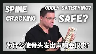 Cracking your spine ❗️is it safe ? ‼️should you crack your own spine ⁉️/ Dr jeff explains