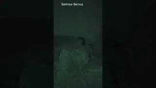 @SomnusNervus nighttime panic attack #93