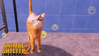 Animal Shelter 2 | Gameplay | No Commentary - Part 1