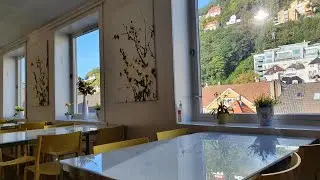 City Hostel Bergen, Norway | Travel With Yogeshwari
