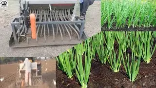 Onion planter machine 🧅 प्याज बुआई करने की मशीन || pyaj buai ki machine