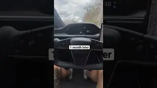TESLA DRIVERS BE LIKE&hellip;#shorts #modelx #tesla