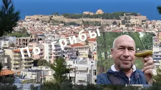 Съедобные грибы на Крите Rethymno news