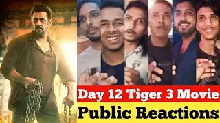 Tiger 3 ROARING BLOCKBUSTER, Tiger 3 Reviews, Tiger 3 Public Reviews, Tiger 3 Public Reactions