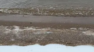 Quiet / Gentle Winter Ocean / Sea Waves ❄️ Snowy Beach Ambience for Sleep & Relaxation