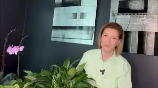 BARIS ZAMBAKLARI KIŞ BAKIMI VE PÜF NOKTALARI