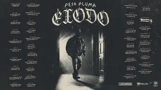 Peso pluma &Eacute;XODO Tour 2024 (McAllen, Texas)