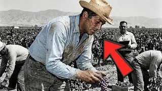 Dean Martin Worked in the Grape Fields as an Immigrant &mdash; The Truth He Hid for Years Shocked America