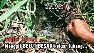 LOH TERNYATA‼️ADA MANTRA NYA JUGA BUAT MANGGIL BELUT BESAR