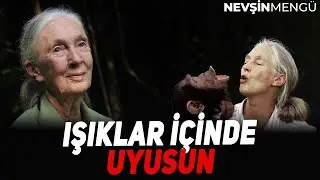 Şempanzelere Fısıldayan&nbsp;Kadın Jane Goodall | Nevşin Meng&uuml; - Cansu Şimşek