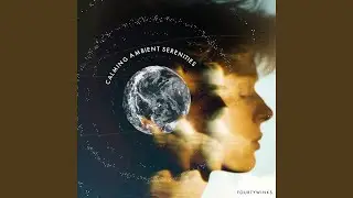 Brain Meditation