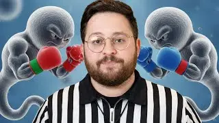 I Tried To Understand Sperm Racing