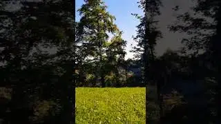 Sternenberg, Switzerland. Farmer's land. &copy;