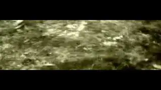 Akoustik Timbre Frekuency   A Study Of Life And Death In Blak And White