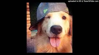 *free* rexv2 + slayr + waera type beat - 