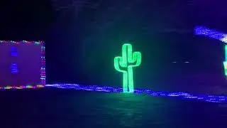 Christmas light trip.🎄☃️❄️