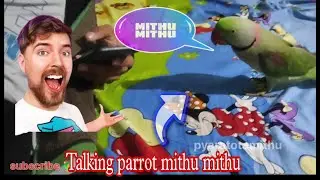 Cute parrot Talking Mithu Mithu | friendly parrot playing in my room 😍🦜fun 😁| watch till end 🤗