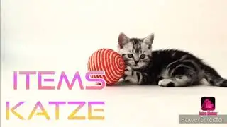 Ende Mit LauraFuchs und Neuanfang mit Items Katze
