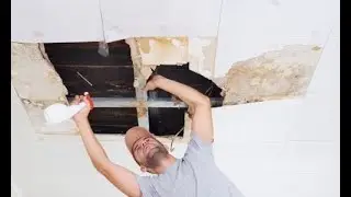 Mold Inspection And Testing in South Carolina
