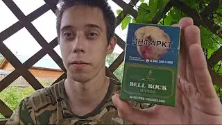 Обзор сигарилл Bell Rock Mango