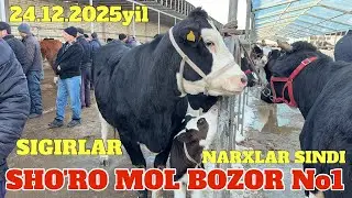 SHO'RO MOL BOZOR SIGIRLAR NARXLARI SINDI BOZORDA SAVDO ZO'R BO'LDI