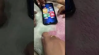 Ludo time