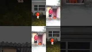 papa Animation meme#shorts #roblox #tranding #viral #viralvideo #meme #ytshorts #cat #shortsfeed
